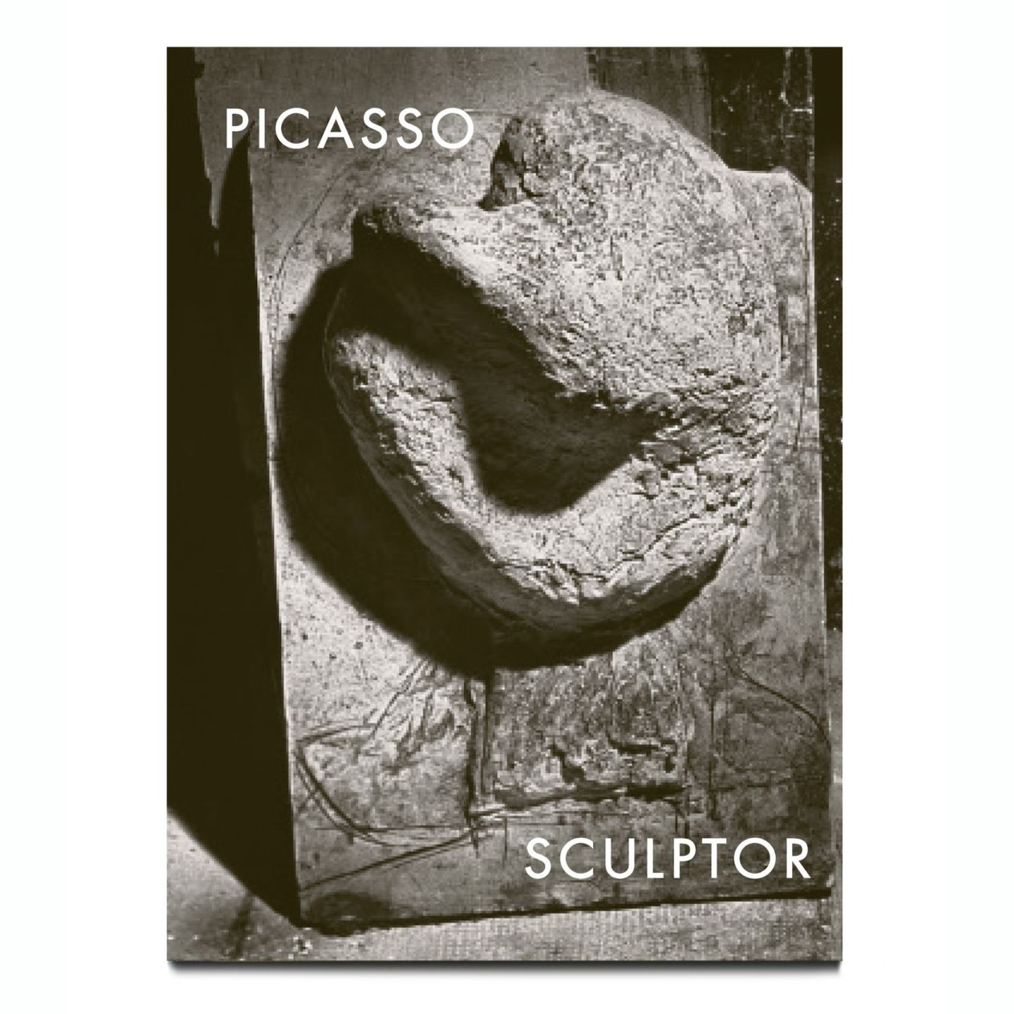 Picasso Sculptor. Matter and Body